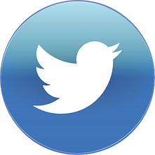 The Twitter Logo